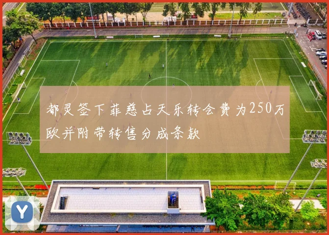 都灵签下菲慈占天乐转会费为250万欧并附带转售分成条款
