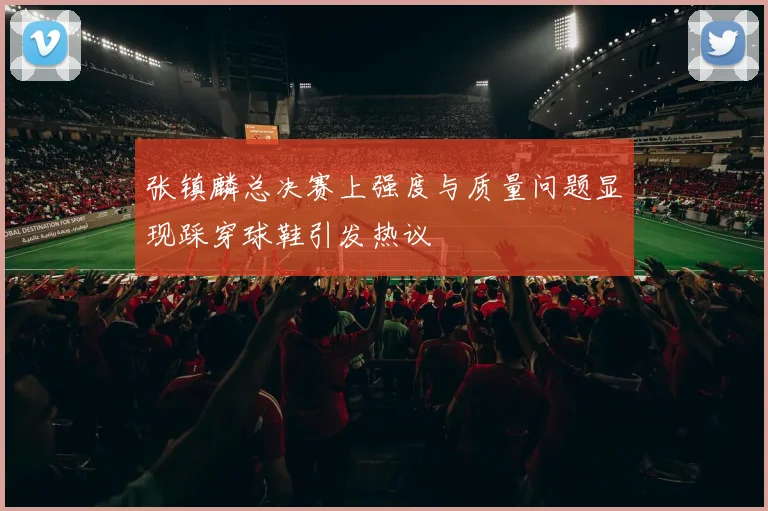 张镇麟总决赛上强度与质量问题显现踩穿球鞋引发热议