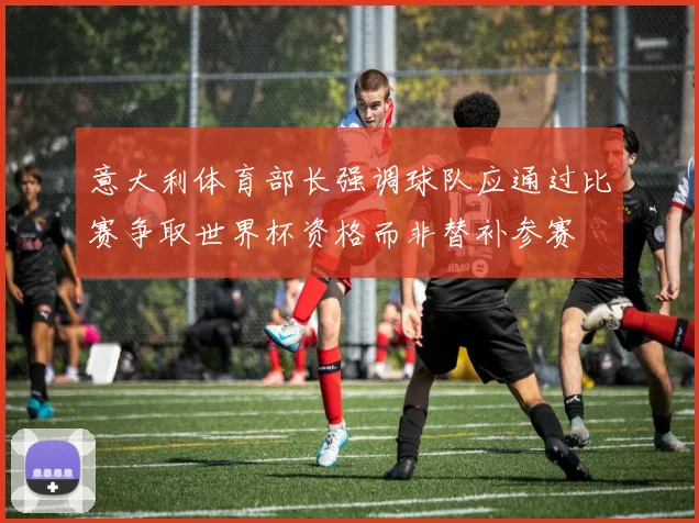 意大利体育部长强调球队应通过比赛争取世界杯资格而非替补参赛